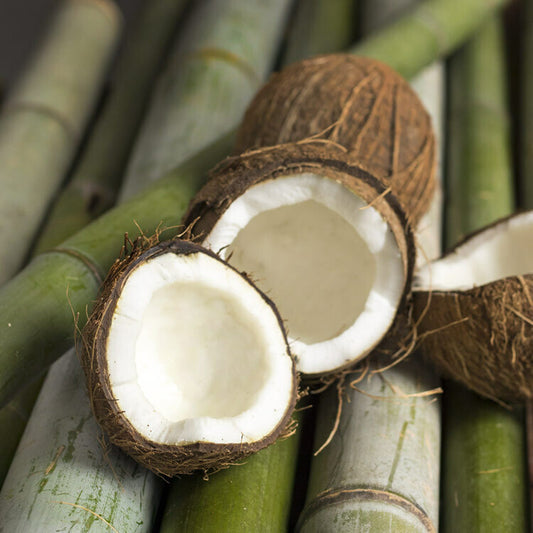 Bamboo & Coconut Fragrance Oil